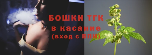 крисы Аркадак