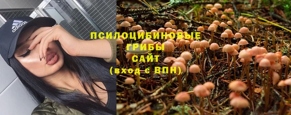 меф Алексин