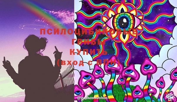 сатива Алексеевка