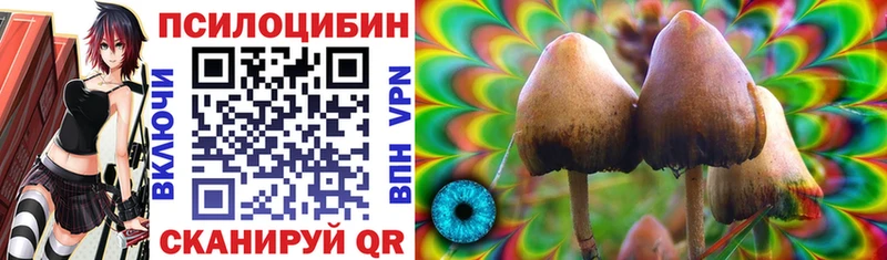 Галлюциногенные грибы Psilocybine cubensis  наркота  Рославль 